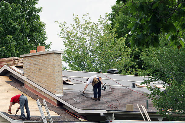 Best Gutter Installation and Roofing  in Hazen, ND